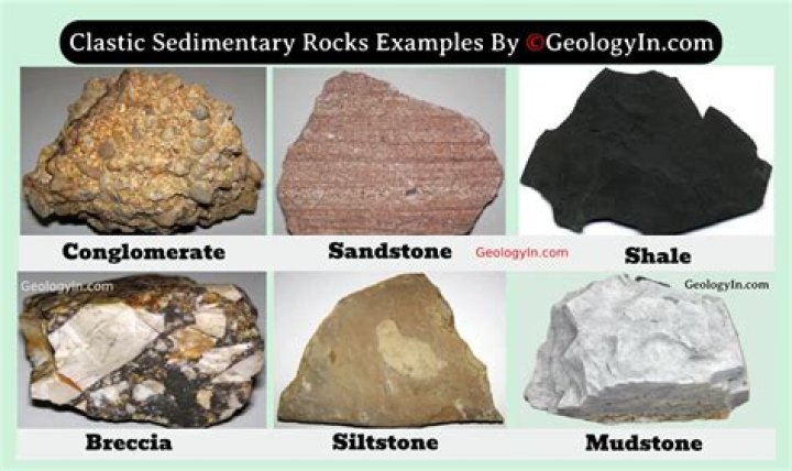 Where do bioclastic sedimentary rocks come from?