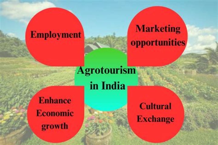 Where is agritourism most popular?