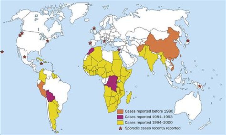 Where is Noma located?