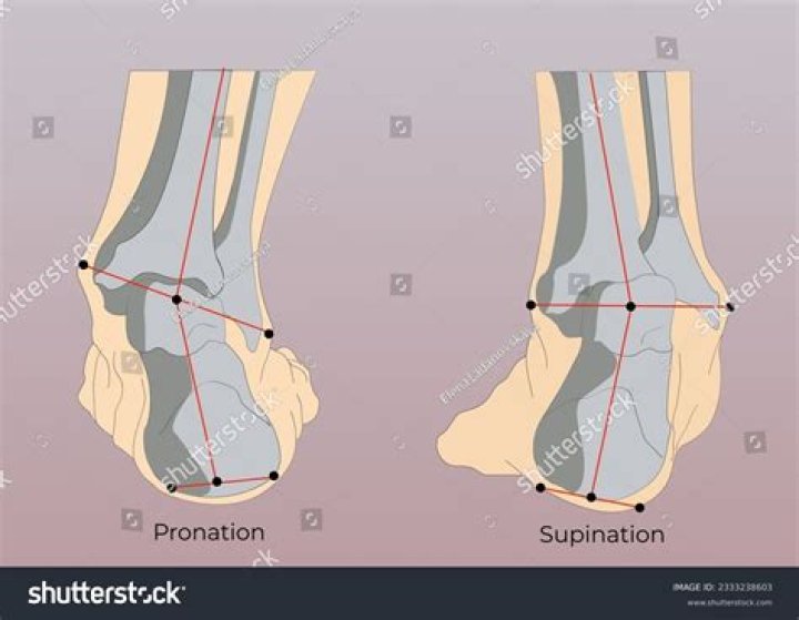 Where is the axis of rotation in the movements of pronation and supination?