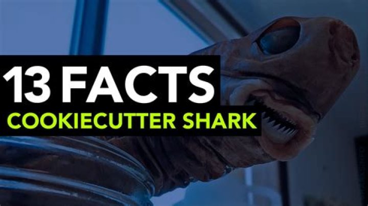 Where is the cookie cutter shark found?