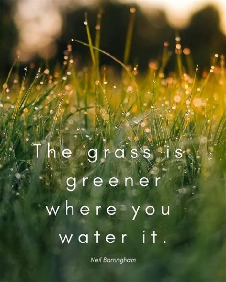 Where the grass is green quote?