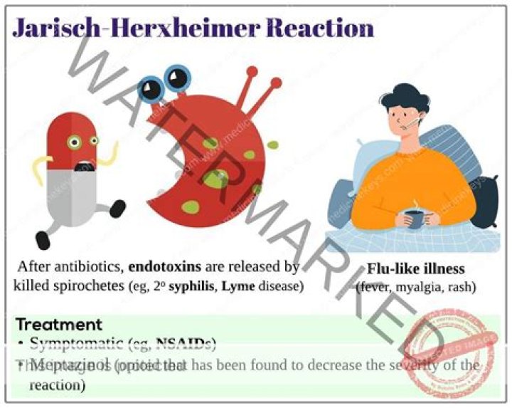 Which antibiotics cause jarisch-herxheimer reaction?