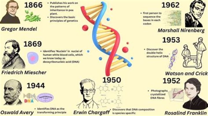 Who first discovered molecular biology?