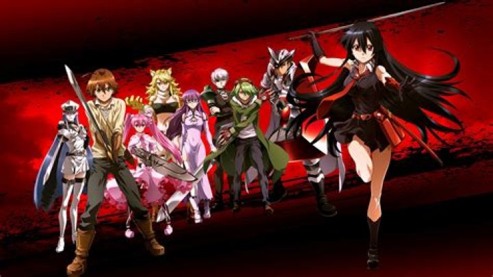 Who is Akame ga Kill?