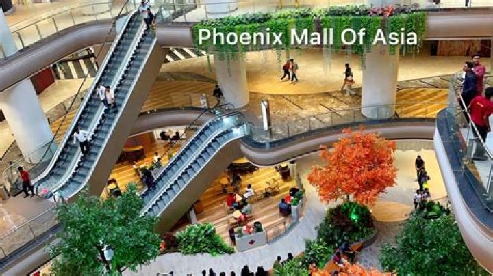 Who is owner of Phoenix mall?