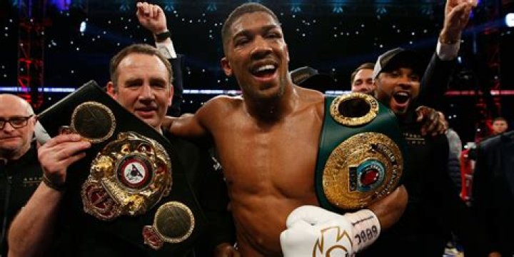 Who is the champion of Hell in a Cell?