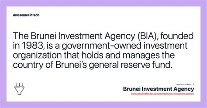 Who owns the Brunei Investment Agency?