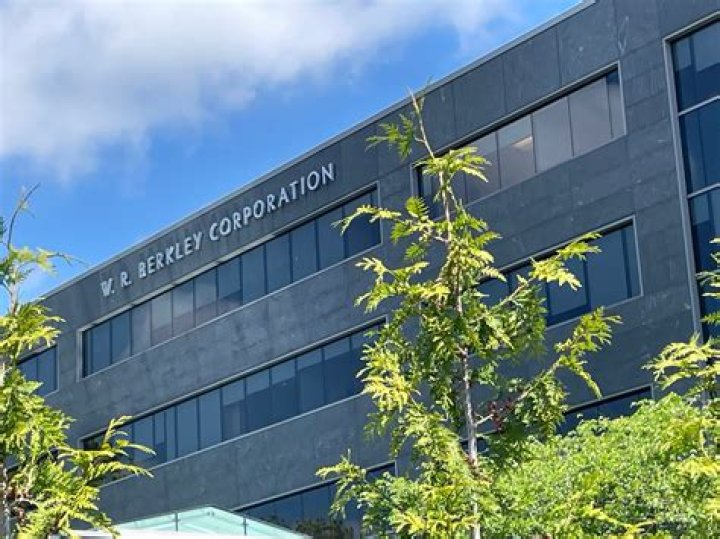 Who owns WR Berkley?