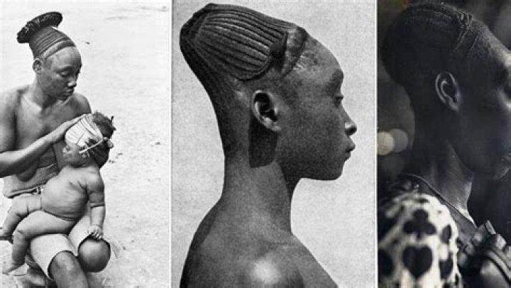 Why did the Mayans elongate their skulls?