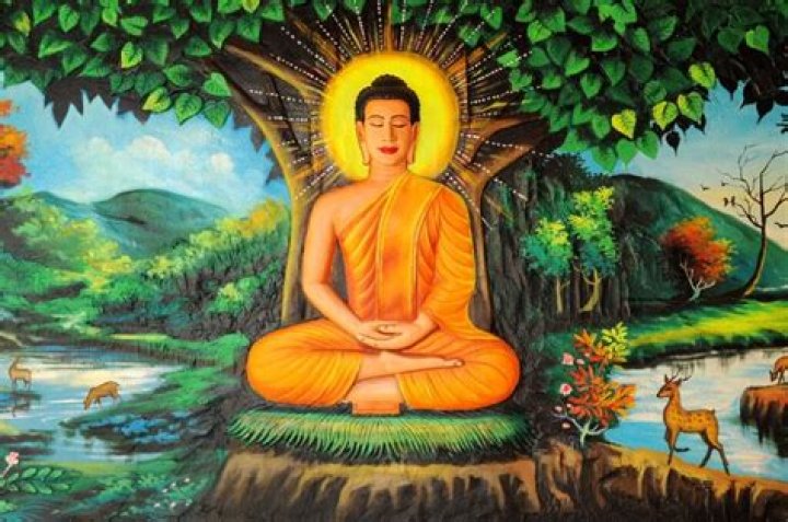 Why is Buddha not Vishnu?
