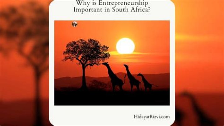 Why is entrepreneurship important in South Africa?
