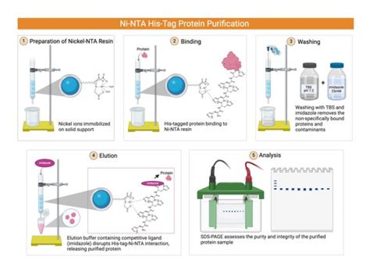 Why is Ni-NTA chromatography not done in acidic pH range?