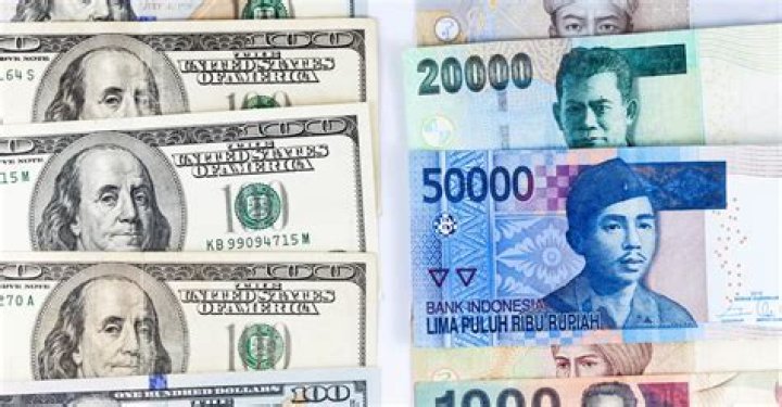 Will EUR JPY go up or down?